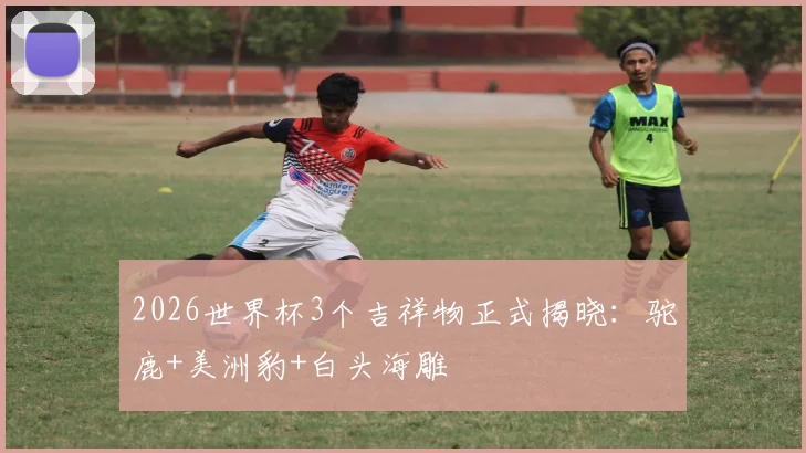 2026世界杯3个吉祥物正式揭晓：驼鹿+美洲豹+白头海雕
