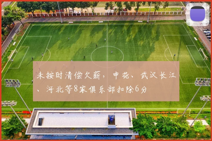 未按时清偿欠薪，申花、武汉长江、河北等8家俱乐部扣除6分